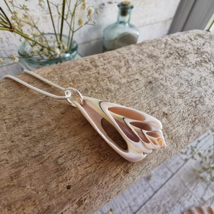 Natural Seashell Silver Necklace