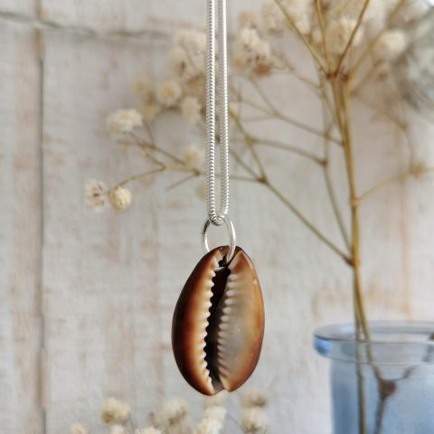 Natural Brown Cowrie Seashell Silver Necklace